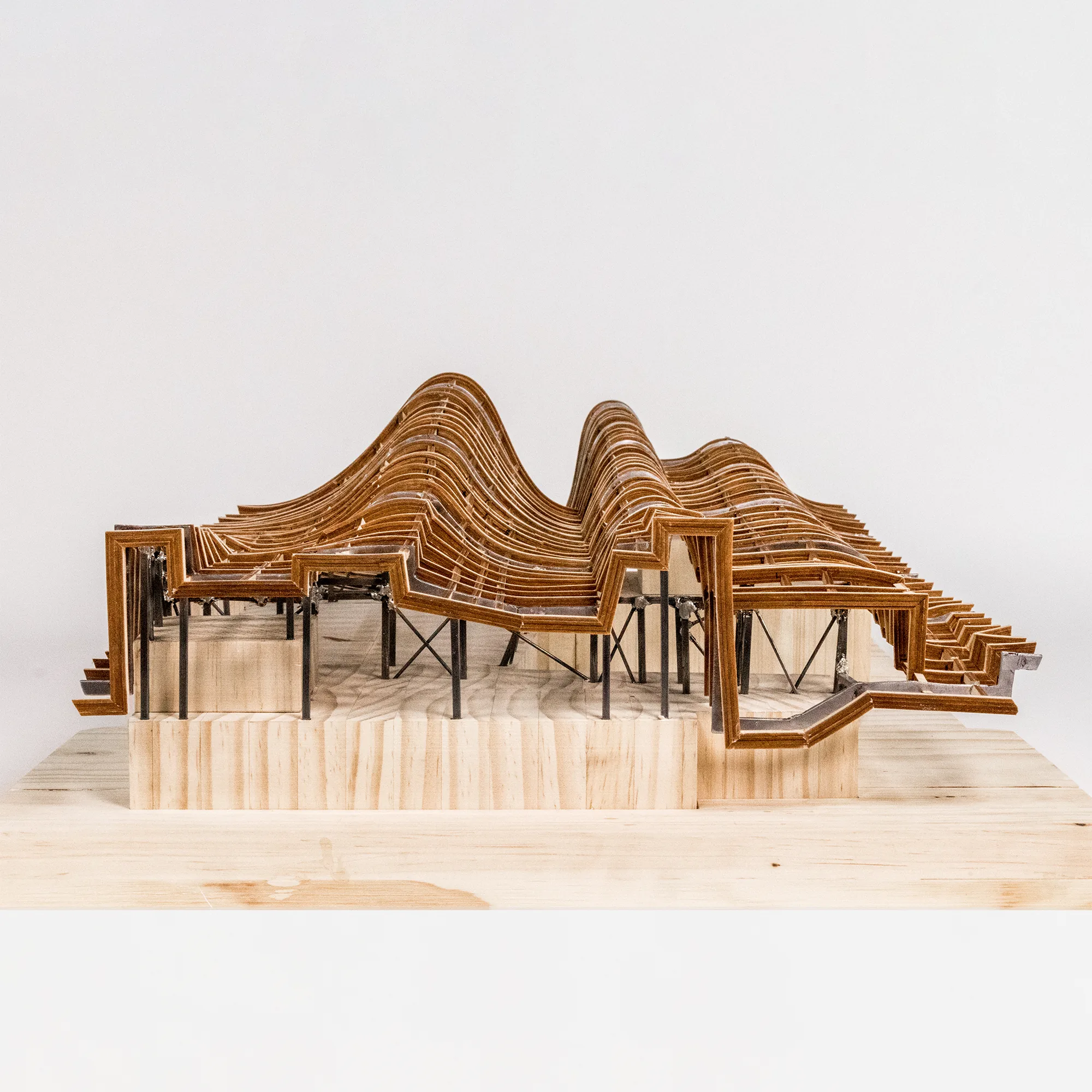 Structural Model, image 1